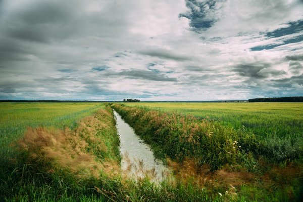 Comment la gestion de l'eau en entreprise peut améliorer la productivité et le bien-être des employés
